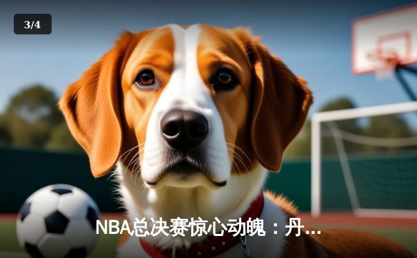 NBA总决赛惊心动魄：丹佛掘金抢七大战险胜波士顿凯尔特人，约基奇狂砍41分荣膺FMVP - 3